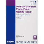 фотобумага для принтера Epson Premium SimiGlossyPhPap C13S042093, 420мм x 0.594м
