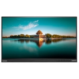 монитор Lenovo ThinkVision T2364t, черный