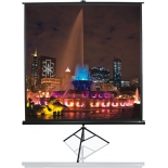 экран Elite Screens Tripod T71UWS1