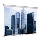 экран Lumien Eco Picture LEP-100105 1:1 (160х160)