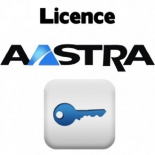 мини-АТС Aastra OM System Licence 10, лицензия