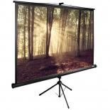 экран Cactus TriExpert CS-PSTE-180х135-BK, черный