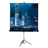 экран Lumien Master View LMV-100106, черный