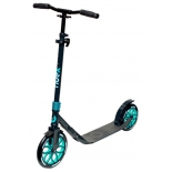 двухколесный самокат Ridex Supreme 255/215 мм, черный
