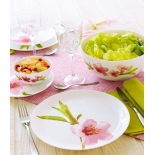 столовый сервиз Набор Luminarc Water Color 19 предметов (E4905)