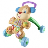 ходунки Fisher-Price Ученый Щенок (от 6 месяцев)