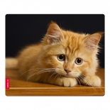 коврик для мышки Speedlink SILK (230x190x1.5 мм), котёнок