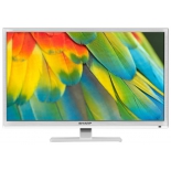 телевизор Sharp LC-24CHF4012EW, белый