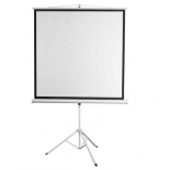 экран Digis Kontur-D DSKD-1103 1:1 напольный рулонный