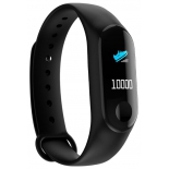 Умные часы Smarterra FitMaster Color TFT черный/черный