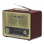 радиоприемник Ritmix RPR-088 золото