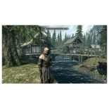игра для Nintendo Nintendo Switch Bethesda Softworks The Elder Scrolls V: Skyrim на картридже