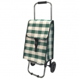 сумка-тележка Рыжий кот D203 Green (37х27х92см)