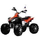 велоквадроцикл детский RiverToys P555PP, красный