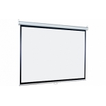 экран Lumien Eco Picture LEP-100112 (восьмигранный корпус)