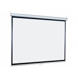 экран Lumien Eco Picture LEP-100111 (120х160см)