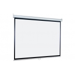 экран Lumien Eco Picture LEP-100107 (настенный)