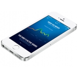 смартфон Apple iPhone 5S 16Gb Silver