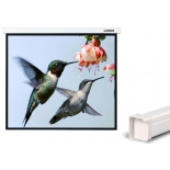 экран Lumien Master Control LMC-100113
