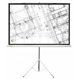 экран Cactus Triscreen 127x127 см