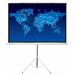 экран Cactus Triscreen (150x150 см) белый