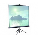 экран ScreenMedia Apollo-T STM-1103