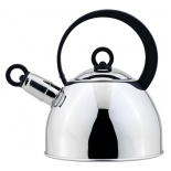 чайник для плиты Regent Linea TEA 93-TEA-25, (со свистком)
