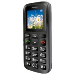 сотовый телефон Ginzzu R12D 4891816291210
